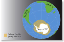 map-adelie-penguin
