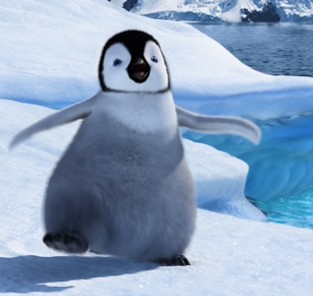 Image result for penguins images